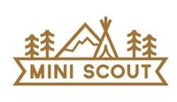The Mini Scout Co coupons